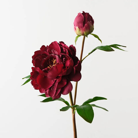 Peony Spray - Burgundy