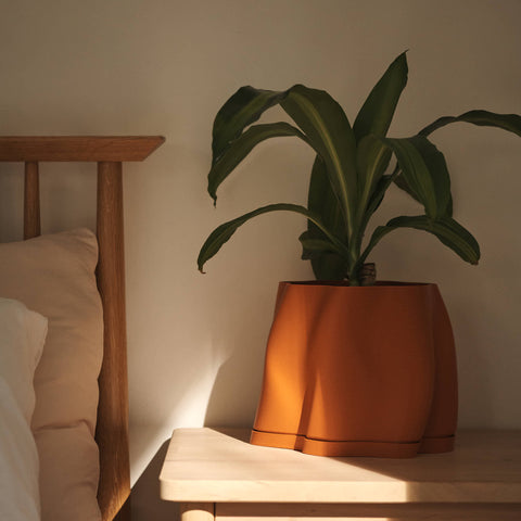Lulu Planter - Burnt Orange