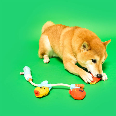 Fishing Nosework & Tug Toy