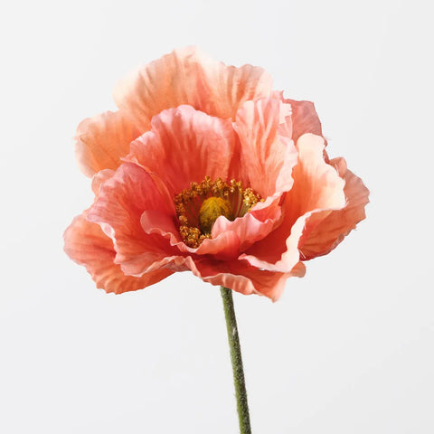 Poppy - Coral