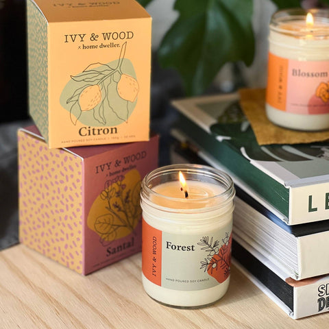 Homebody: Santal Soy Candle