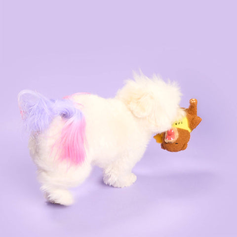 Happy Bear Tofino Nosework Toy