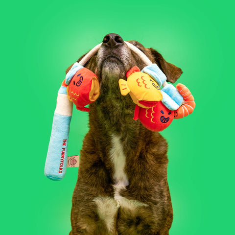 Fishing Nosework & Tug Toy