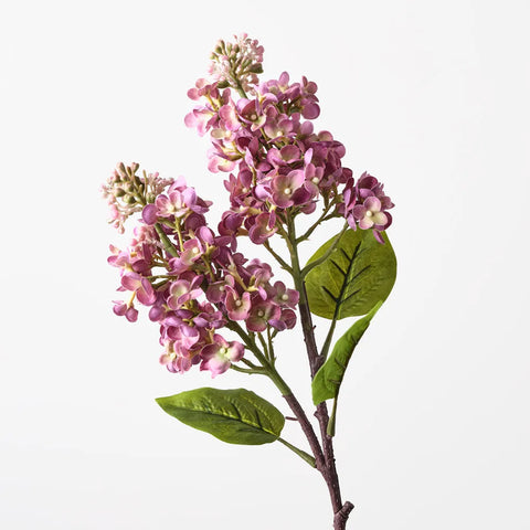Lilac Spray - Mauve