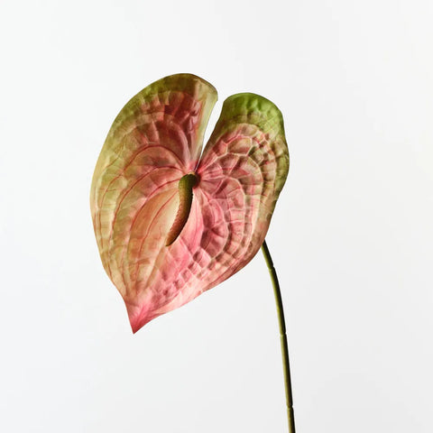 Anthurium realistic fake tropical flower stem
