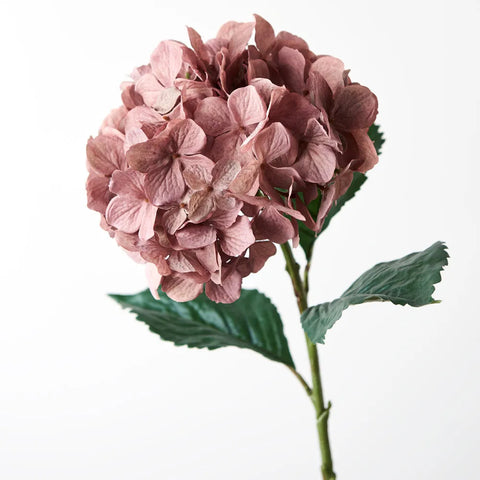 Hydrangea - Dusty Muave