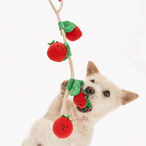 Cherry Tomato Nosework Toy detail