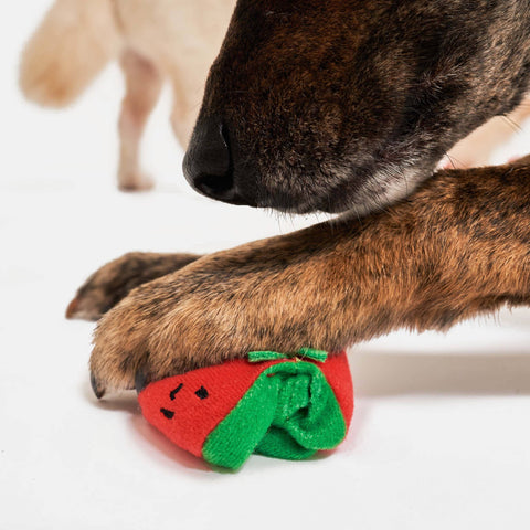 Cherry Tomato Nosework Toy treat pocket detail