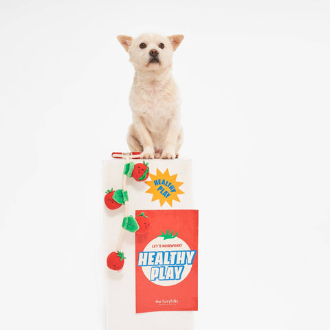 Cherry Tomato Nosework Toy dog playing