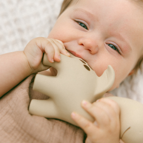 Diplo teether in sage green, hand-painted natural rubber