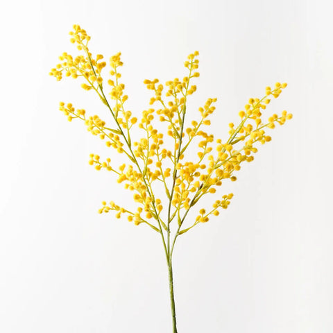 Wattle Spray - Yellow