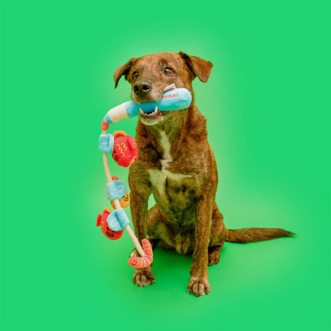 Fishing Nosework Toy fabric detail