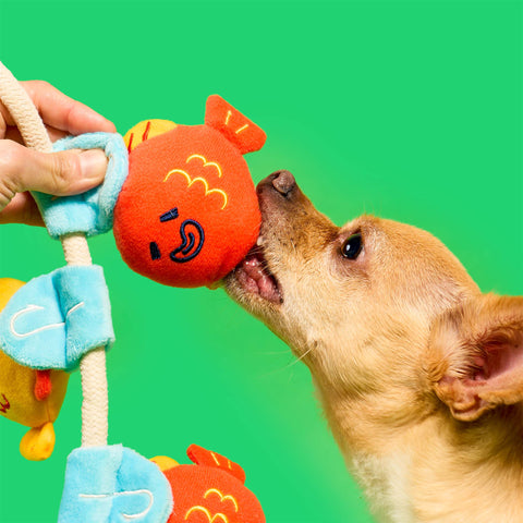 Fishing Nosework and Tug Toy