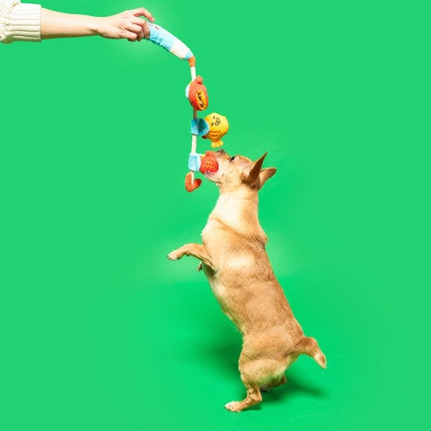 Fishing Nosework Toy dog playing