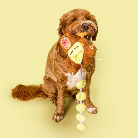 Happy Bear Tofino Nosework Toy size reference