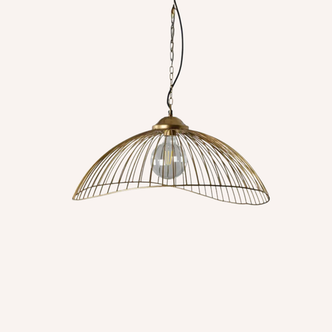 A dome-shaped pendant light with a gold-toned metal wire cage shade and a clear glass globe bulb, suspended by a black chain against a solid off-white background.