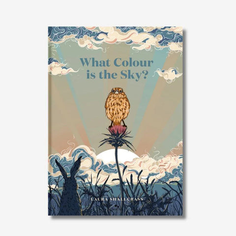 What Colour is the Sky Book