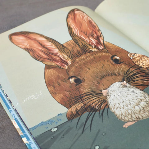 What Colour is the Sky Book