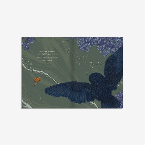 What Colour is the Sky Book