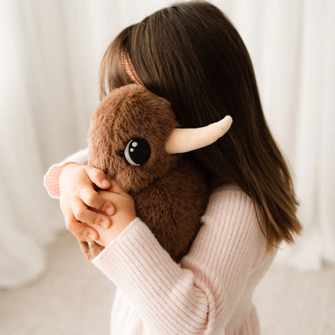 Kuwi the Kiwi Plush Toy
