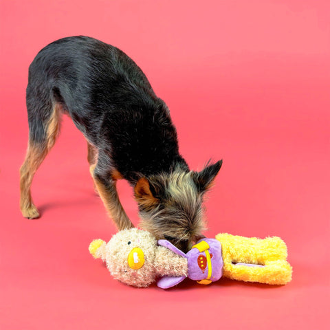 OstriKraken Nosework Toy full view