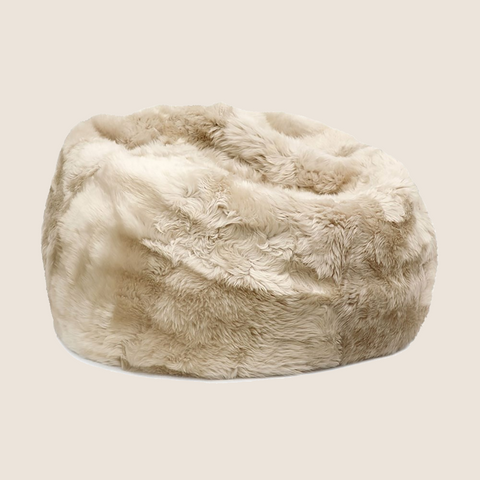 Sally D. Beanbag Cover