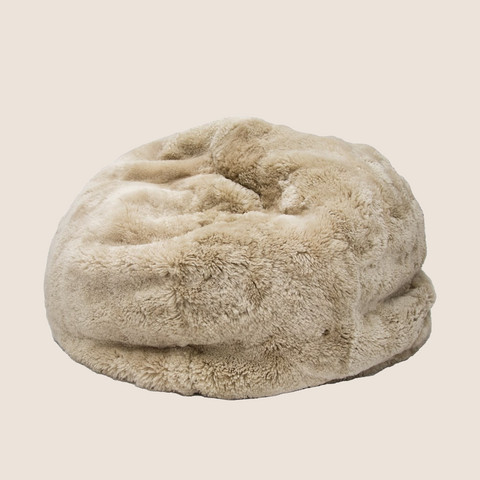 Sally D. Beanbag Cover