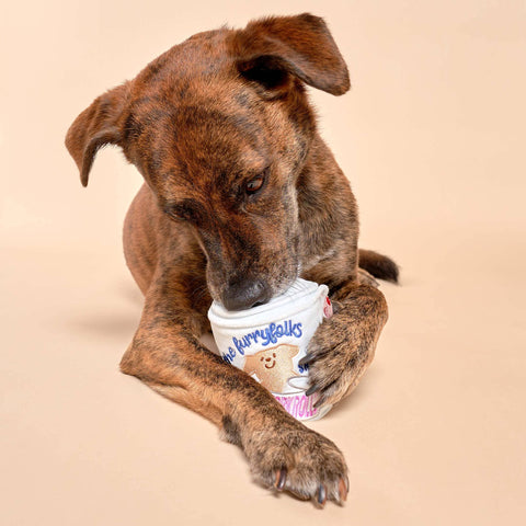 Toilet Paper Nosework Toy unrolled