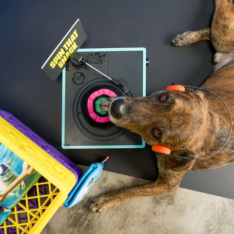 Vinyl Nosework Toy dog playing