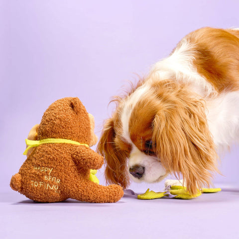Happy Bear Tofino Nosework Toy