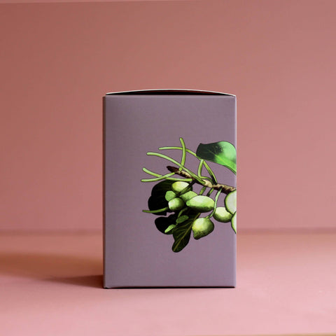 Kakadu Plum & Cucumber Soy Candle