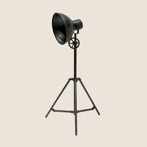 Larry the Lamp